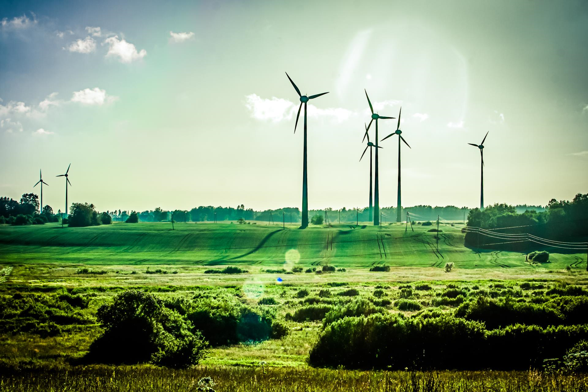 Environment and Climate Change 