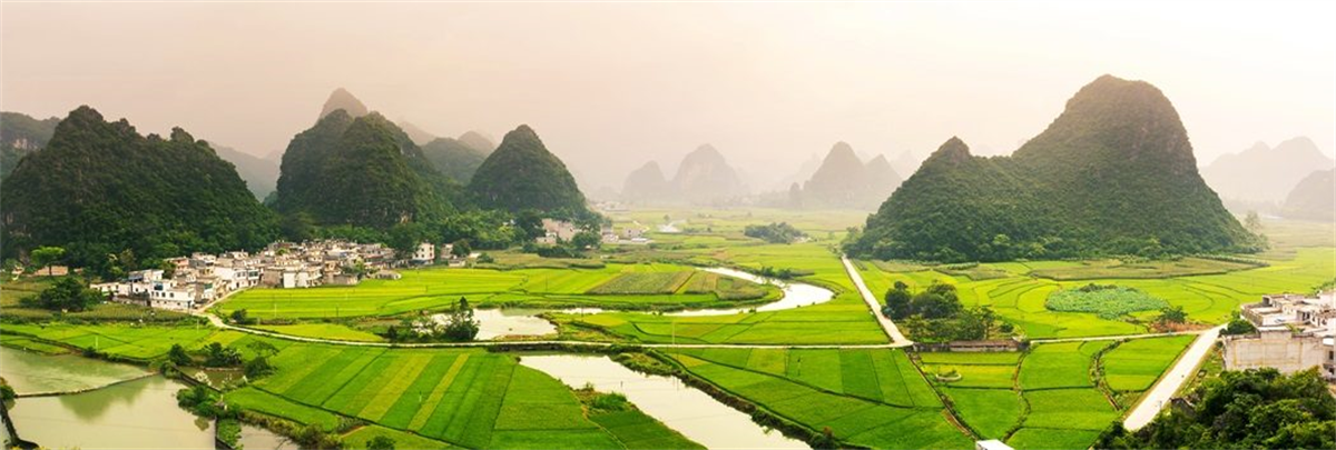Regional and Rural Development
